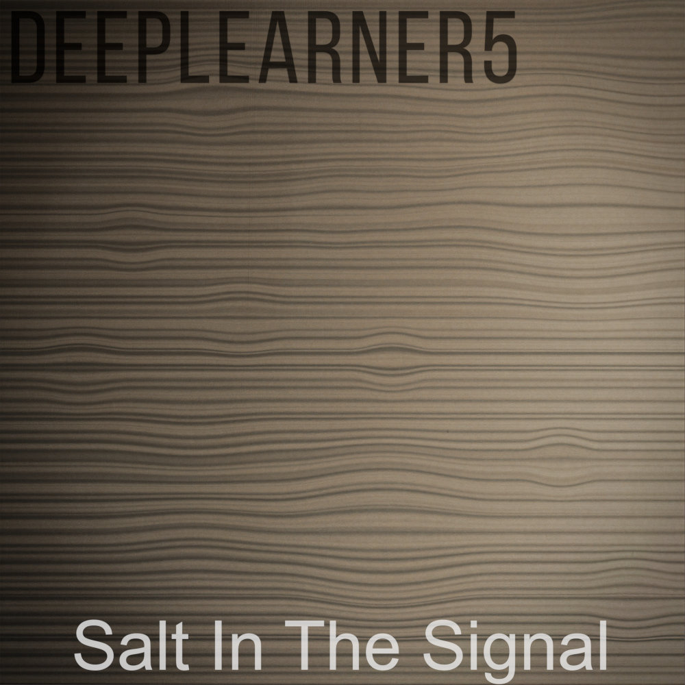 Album cover: Salt In The Signal